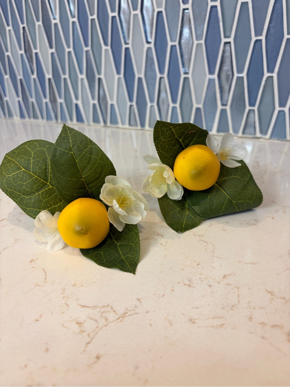 Lemon 🍋 Napkin Holders (Set of 2)